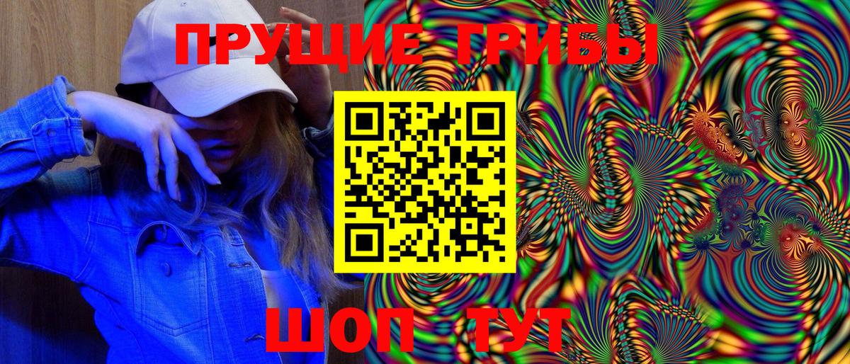 Галлюциногенные грибы MAGIC MUSHROOMS  Вход с VPN  Кунгур  Псилоцибиновые грибы Psilocybe 